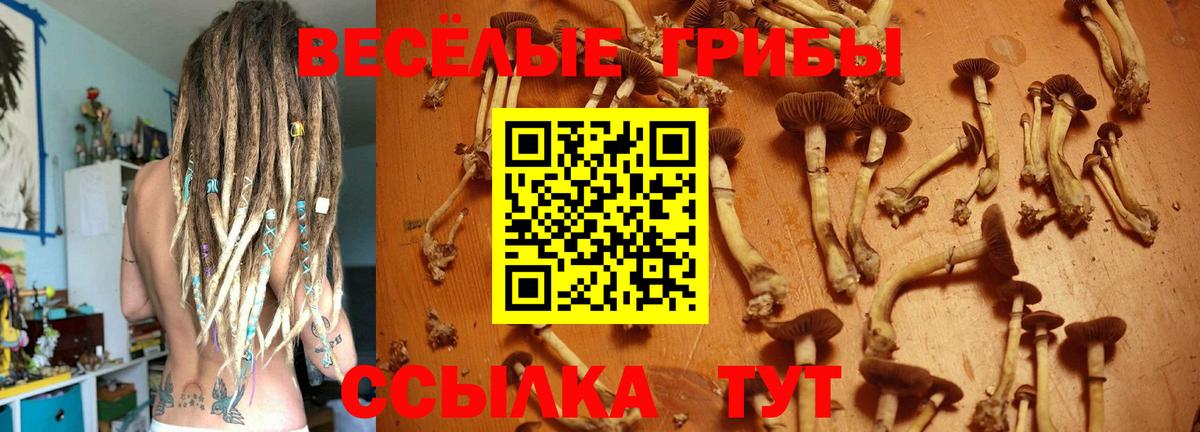 Псилоцибиновые грибы мицелий Киреевск