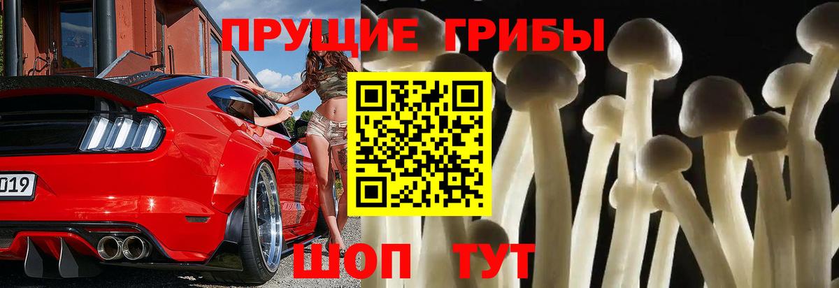 Киреевск  Псилоцибиновые грибы Psilocybine cubensis  Вход с VPN 